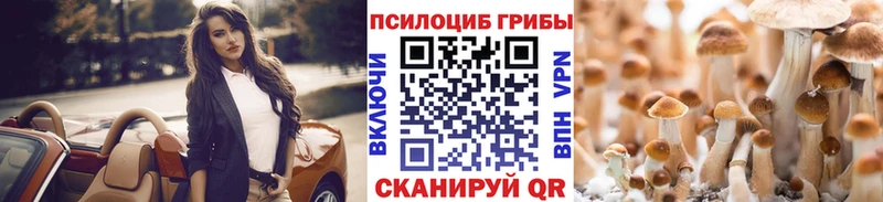 Псилоцибиновые грибы ЛСД  Купить закладки  Мамоново 